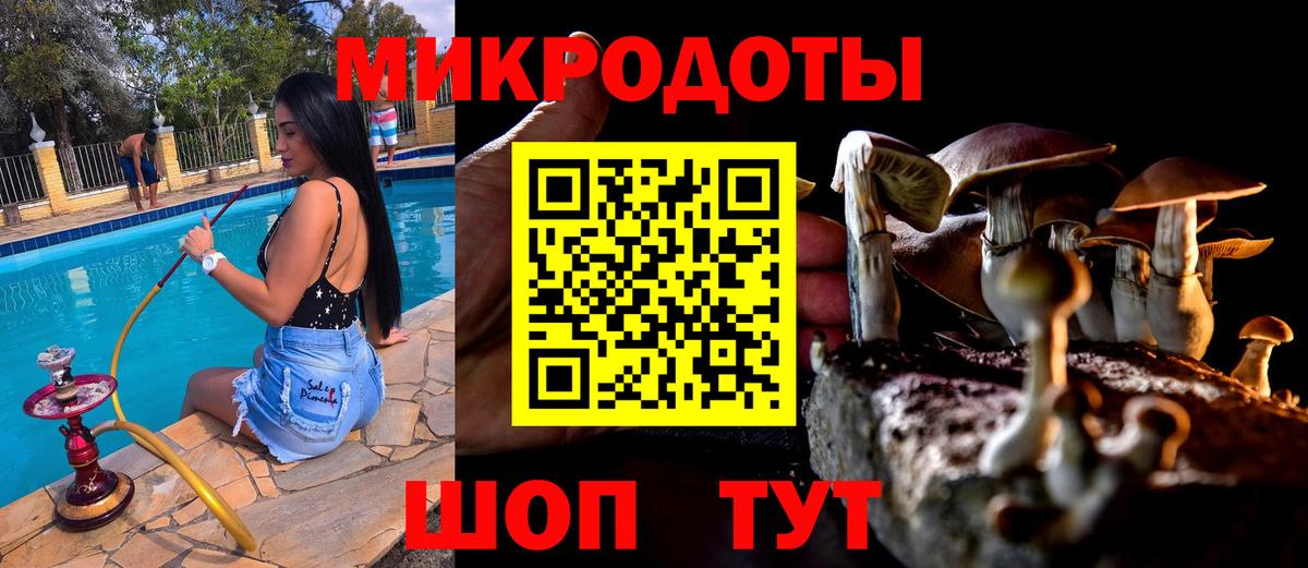 купить закладку  Вход с VPN  Шадринск  Галлюциногенные грибы Psilocybe 